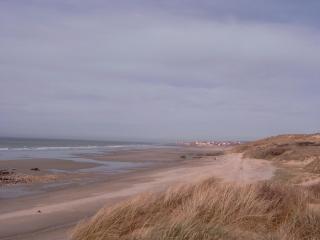 Vue sur mer, dunes et golf - 8