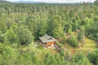 Family Friendly Cabin On A Creek With Large Yard - Blue Ridge - 0