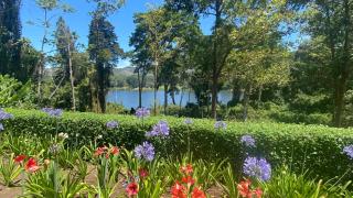 CASA DEL LAGO - Cachí - 9