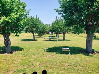 ACHILLEAS PEACEFUL PLACE - 6