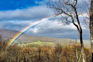 Hoot Owl Cabin - 5 Star Mtn Sunset Views - Hot Tub - Morganton - 5