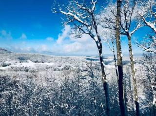 Hoot Owl Cabin - 5 Star Mtn Sunset Views - Hot Tub - Morganton - 4