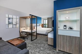 SpringHill Suites by Marriott Austin West/Lakeway - 9