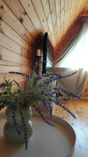 Izbushka Apartment - 3