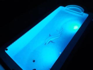 Ferienwohnung mit Privat-Pool - Alcossebre - 5