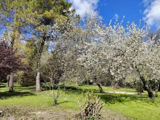 Moulin de Pisseloube - 1