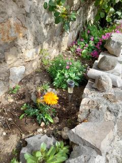 Apartmani Sanja - 6