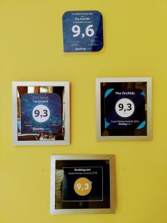 The Orchids - Bogotá - 9