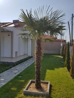 Danai Maisonettes Ofriniou - Ofrínion - 5