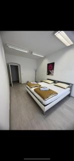 Rosens Wien - Vienne - 7