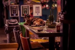 Hostal La Mariapolis - 2