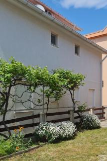 Apartments by the sea Vir - 20723 - Vir - 8