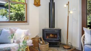 Pine Lodge Pearl Beach - 6