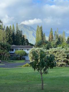 Breezy + Spacious 3/2 House with Bali Hai View - 9