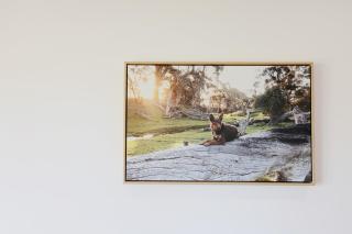 Dusty's Run - Escape. Relax. Explore. - 5