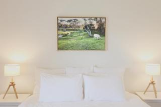 Dusty's Run - Escape. Relax. Explore. - 3