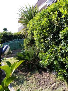 CASA VACANZE IL RICCIO - Ortona - 6