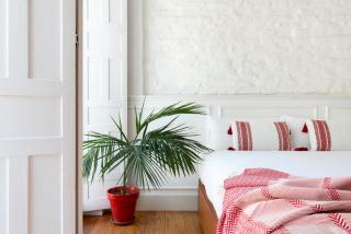 San Luis Luxury House with Terrace - Sevilla - 6