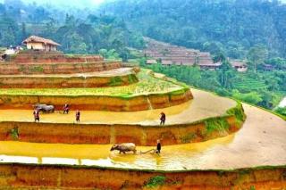 Bình Minh Homestay - 1