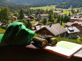 Studio avec vue splendide sur les Diablerets - Les Diablerets - 0