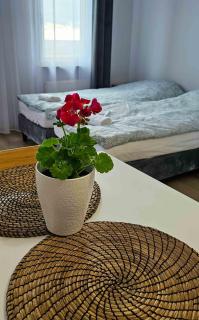 Route66 apartament by Karl - Radom - 2