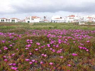Vivenda com jardim no campo a 350 do Mar - Vila Nova de Milfontes - 9