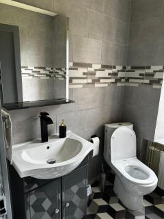 CAN appart spacieux avec grand jardin et terrasse 1 à 8 pers - Granges-sur-Vologne - 2