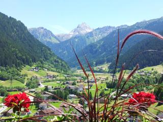 Alpenpension Maderer - Gaschurn - 0