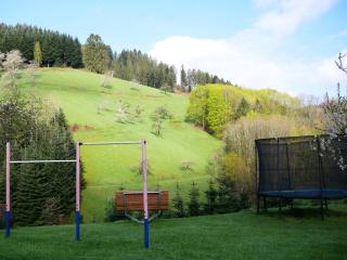 Bühlbauernhof - Bad Peterstal-Griesbach - 4