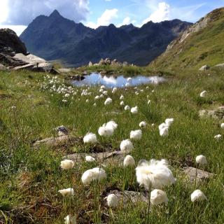 Alpenpension Maderer - Gaschurn - 8