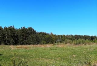 Poilsio namelis Druskininkuose - Viečiūnai - 6