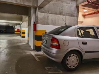 Grandpa´s tree - private garage - 7