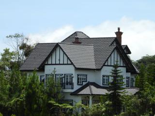 Bugdet Apartment - 5