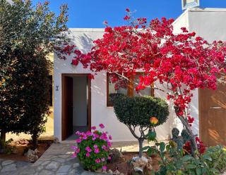 Kali Holiday Apartments - Stalida - 9