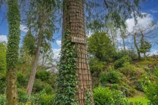 Quirky Retreats - The Coach House - 6