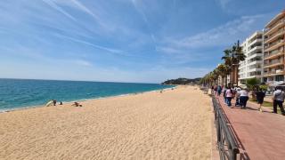 Hauzify I Apartament Martín - Lloret de Mar - 6