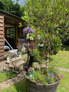 The Cabin, Roundabout Lane - West Chiltington - 1