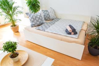 Bis 6 Personen - 5 Min zur Elbe, Helle Geräumige 2-Raum-Whg, Neustadt, Top Lage - Dresde - 2