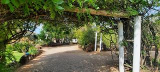 Quinta do Paraiso - São Teotónio - 5