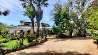 Quinta do Paraiso - São Teotónio - 9