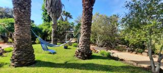 Quinta do Paraiso - São Teotónio - 4