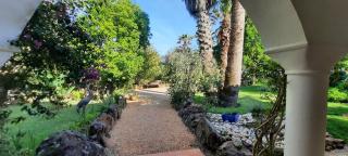 Quinta do Paraiso - São Teotónio - 8