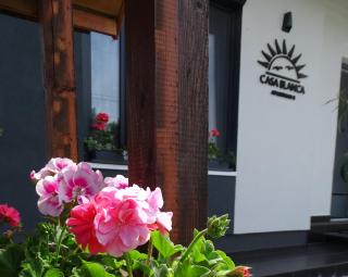 Casa Blanca Apartman II - Balatonfenyves - 3