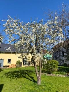 Pokoj pod Milešovkou - 2