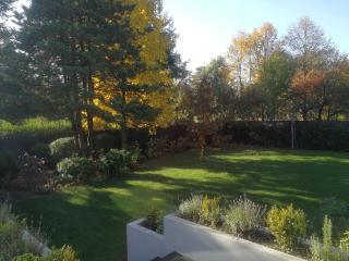 Spacious 3 Bedroom Family Oasis with Sauna, 20 min from Warsaw - Piaseczno - 9
