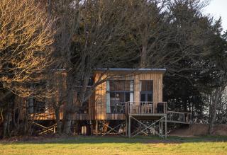 Chiffchaff Treehouse - Stirling - 9