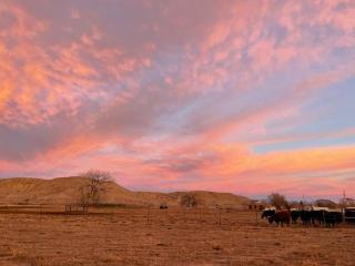 Nine Mile’s Farmhouse Retreat - 7