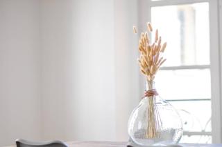 Famille au coeur de Périgueux - 2