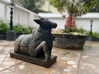 Buddha Beach Hotel - 5