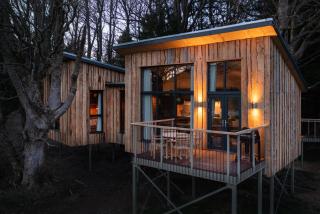 Chiffchaff Treehouse - Stirling - 3